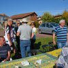 Repas et pétanque 18 octobre 2017 - 32