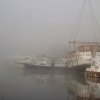 Sortie des bateaux en 2016-10