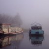 Sortie des bateaux en 2016-38